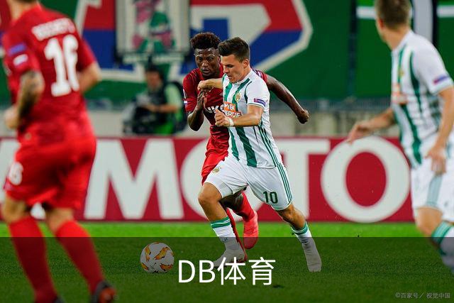 DB体育公司简介展示图